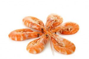 crevettes roses