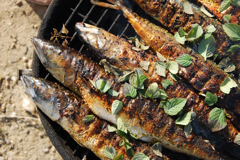barbecue poisson